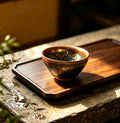 Jian Zhan Tea Bowl with Raven-Black Glaze from Nanshanping Kiln Site